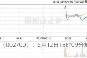 ST浩源（002700）：6月12日13时09分触及涨停板