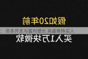 微软：资本开支与盈利增长 高盛维持买入