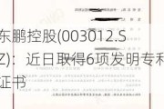 东鹏控股(003012.SZ)：近日取得6项发明专利证书