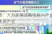 国资委：大力发展战略性新兴产业 前瞻布局未来产业