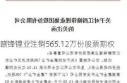 赣锋锂业注销565.12万份股票期权