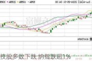 大型科技股多数下跌 纳指跌超1%