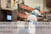 闻泰科技： 安世在汉堡工厂投资2亿美元主要用于在汉堡研发和生产下一代宽禁带半导体产品(WBG)