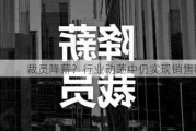 裁员降薪？行业动荡中仍实现销售额增长