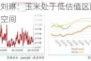 长安期货刘琳：玉米处于低估值区间 中长期存在上涨空间