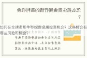 如何在全球市场中寻找贵金属投资机会？这些机会有哪些风险和机会？