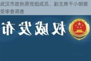 武汉市政协原党组成员、副***干小明接受审查调查