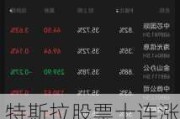 特斯拉股票十连涨，在“木头姐”旗舰基金中权重升破15%