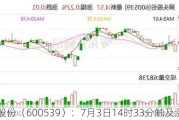 狮头股份（600539）：7月3日14时33分触及涨停板