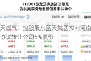 蓝天燃气：控股股东蓝天集团拟向河南管网协议转让公司5%股份