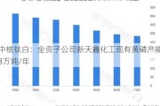 中核钛白：全资子公司新天鑫化工现有黄磷产能3万吨/年