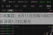 小米集团：6月11日回购1000万股 涉资1.73亿港元