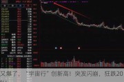 又爆了，“宇宙行”创新高！突发闪崩，狂跌20%！