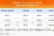 昱能科技（688348）盘中异动 股价振幅达6.03%  上涨6.49%（07-12）