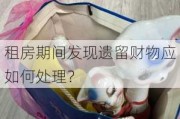 租房期间发现遗留财物应如何处理？