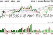 麦迪科技：控股股东承诺6个月内不减持公司股份