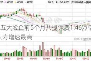 A股五大险企前5个月共揽保费1.46万亿 中国人寿增速最高