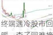 终端遇冷股市回暖，李子园难掩隐忧：业绩下滑与股东减持风险并存