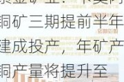 紫金矿业：卡莫阿铜矿三期提前半年建成投产，年矿产铜产量将提升至 60 万吨以上