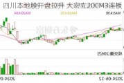四川本地股开盘拉升 大宏立20CM3连板