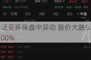 泛亚环保盘中异动 股价大跌5.00%