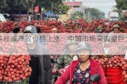 越南荔枝减产致价格上涨：中国市场采购量巨大影响显著