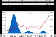 氧化铝 AO2407 合约短期震荡，关注操作节奏及风险控制