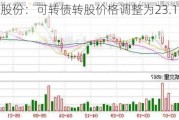 胜蓝股份：可转债转股价格调整为23.17元/股