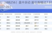 寒武纪-U（688256）盘中异动 股价振幅达7.91%  上涨7.23%（07-09）