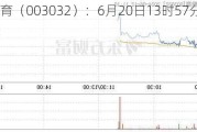 传智教育（003032）：6月20日13时57分触及涨停板