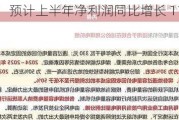 国电电力：预计上半年净利润同比增长 114.22%至 127.61%