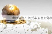 唐源电气：接受丰盈基金等机构调研