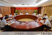 中伟股份：6月20日召开董事会会议