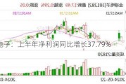 金禄电子：上半年净利润同比增长37.79%