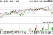 注意！城投控股将于6月21日召开股东大会