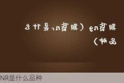 NR是什么品种