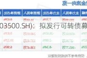 祥和实业(603500.SH)：拟发行可转债募资不超过4.5亿元