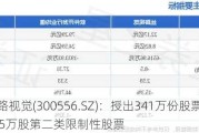 丝路视觉(300556.SZ)：授出341万份股票期权及145万股第二类限制性股票