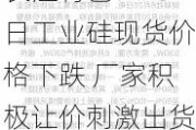 长江有色：23日工业硅现货价格下跌 厂家积极让价刺激出货缓解库存压力