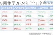 财报速递：长园集团2024年半年度净亏损4698.56万元