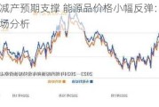 OPEC+减产预期支撑 能源品价格小幅反弹：油气煤炭市场分析