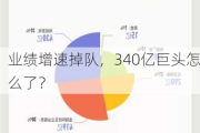 业绩增速掉队，340亿巨头怎么了？