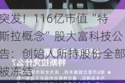 突发！116亿市值“特斯拉概念”股大富科技公告：创始人所持股份全部被冻结