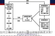 如何正确评价大迷你以做出明智的购买决策？这些评价标准有哪些潜在的局限性？