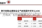 万科A：6月销售额251.3亿元