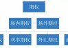 场内期权的种类与选择