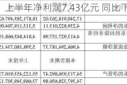 国药一致：上半年净利润7.43亿元 同比下降10.45%