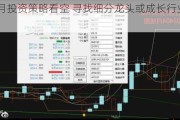 肺鱼6月投资策略看空 寻找细分龙头或成长行业中的ETF