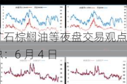 铁矿石棕榈油等夜盘交易观点汇总：6 月 4 日