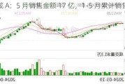 华侨城 A：5 月销售金额 17 亿，1-5 月累计销售金额 77.1 亿